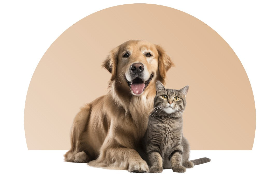 Pet Essentials